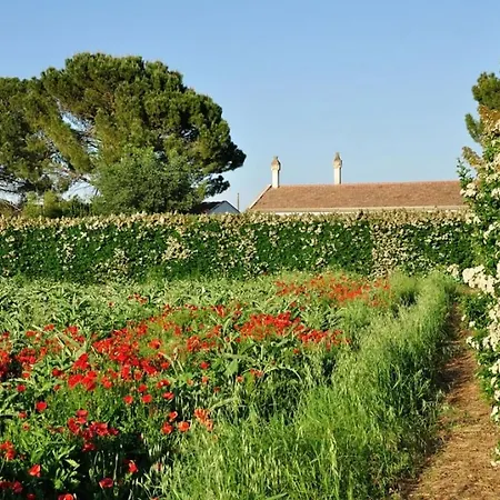 Sleeps 2 Pool Wifi T780857 Lejlighed Montescaglioso
