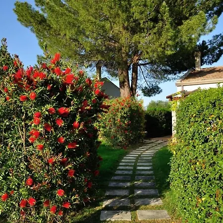 Sleeps 2 Pool Wifi T780857